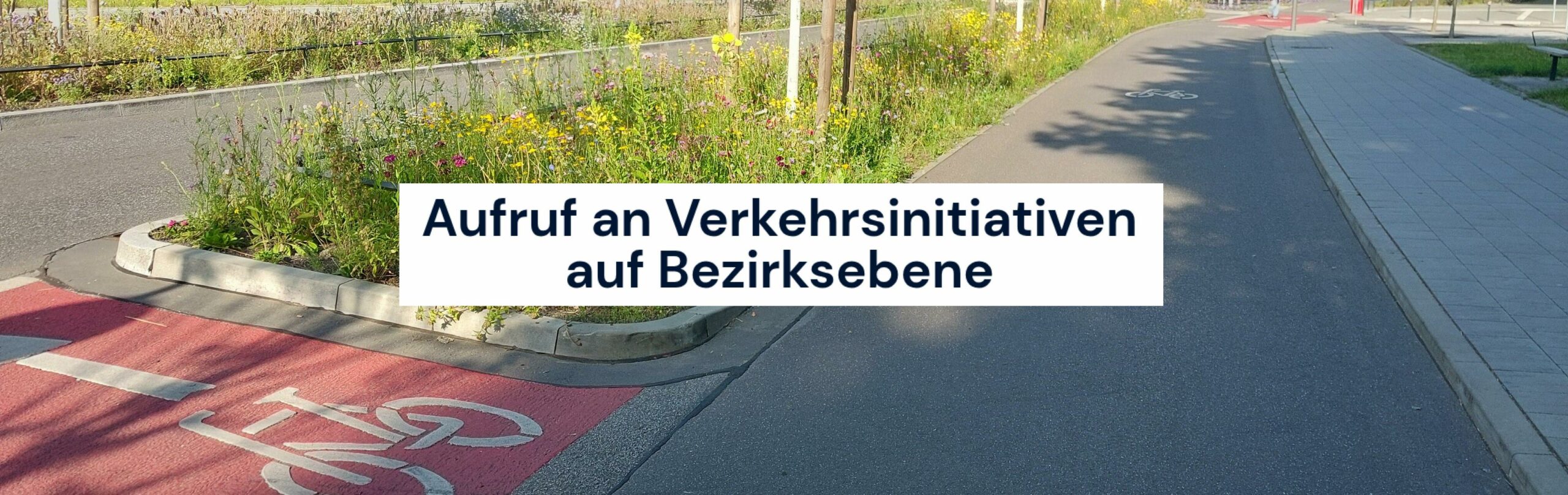 Foto von der Louise-Schröder-Straße in Hamburg-Altona, aufgenommen an einem sonnigen Tag im Juni 2025. Auf der rechten Seite sind breite, abgetrennte Rad- und Fußwege zu sehen, auf dem breiten begrünten Mittelstreifen blühen Blumen, links ist eine Autospur.
